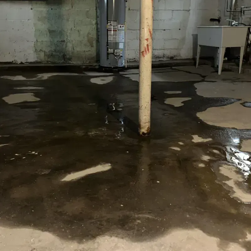 Emergency Water Extraction And Removal in Hannahs Mill, GA